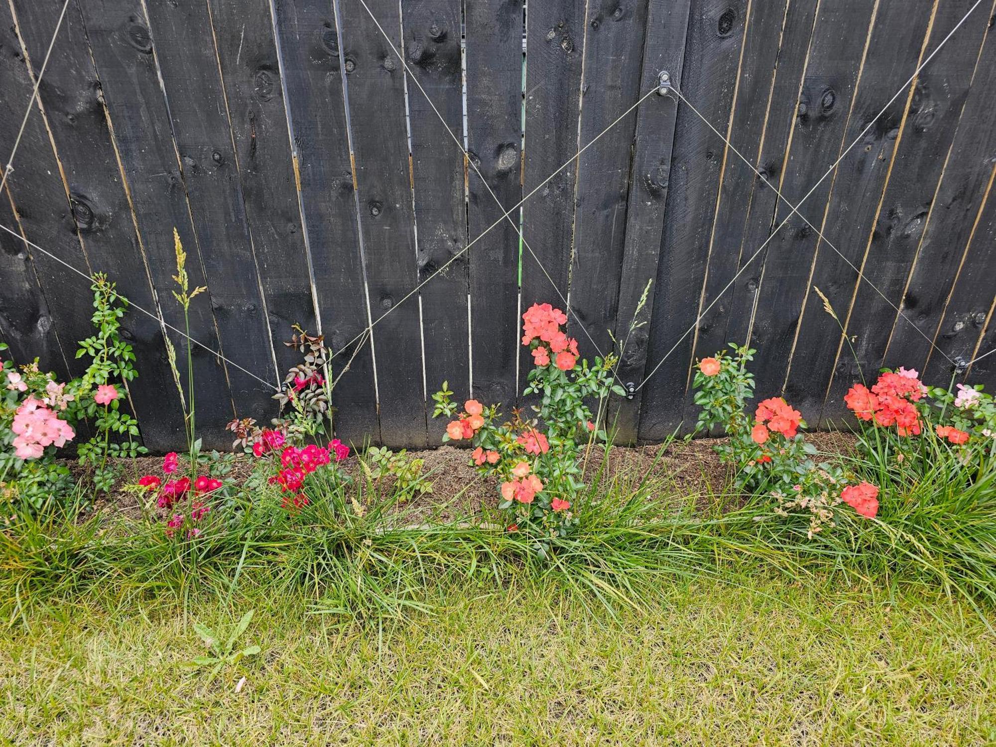 Tui Nest Garden Unit Apartment Silverdale Bagian luar foto